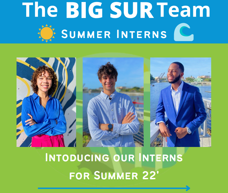 Summer Interns ’22